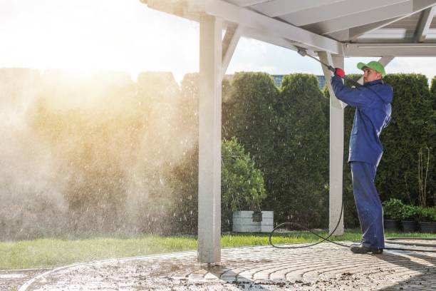 Best Roof Cleaning and Mildew Removal in Resaca, GA